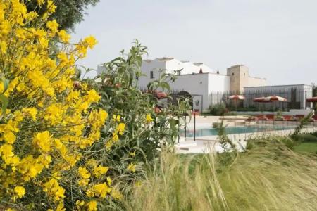 Masseria Santo Scalone - 18