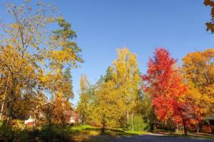 Aulanko Nature Reserve House - Peace & Privacy, Hameenlinna