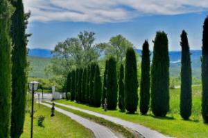 Podere Belvedere, Barberino di Mugello