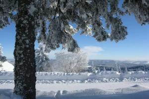 Elzach - Hotels