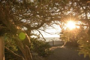 CSA Hotel - Park & Beach, Marina di Bibbona