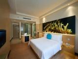 Deluxe ANSA Double room