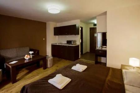 Casa Karina Bansko - Half Board & All Inclusive - 107