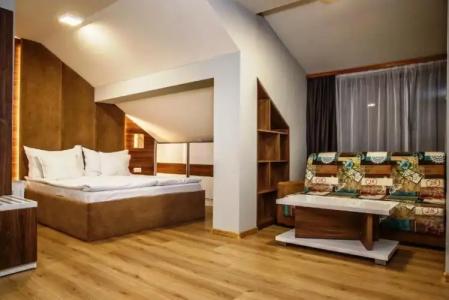 Casa Karina Bansko - Half Board & All Inclusive - 110