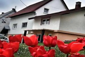 Apartment Balkan, Zabljak