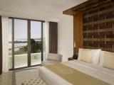 Panoramic Double Suite with balcony and with sea view