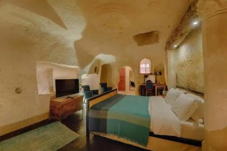 Taru Cave Suites - 203