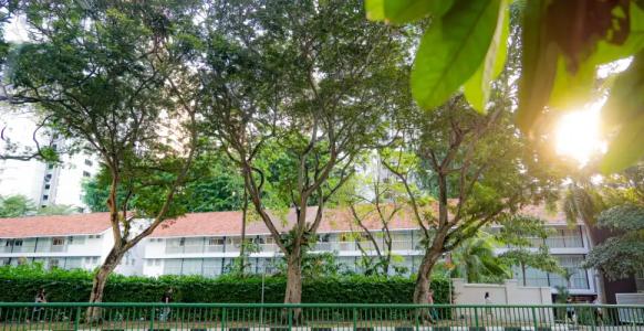 Hmlet Cantonment - 41