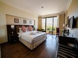 Deluxe room with balcony and with city view