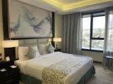 Deluxe Double room with city view