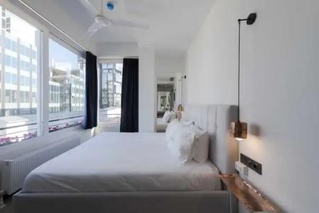 Levent Lavandula - 55