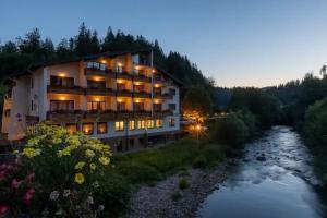 Sackmanns Wanderhotel Lowen, Baiersbronn