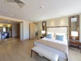 Platinum Executive Duplex Suite