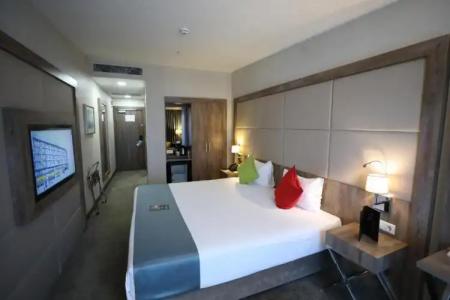 ibis Styles Istanbul Bomonti - 109