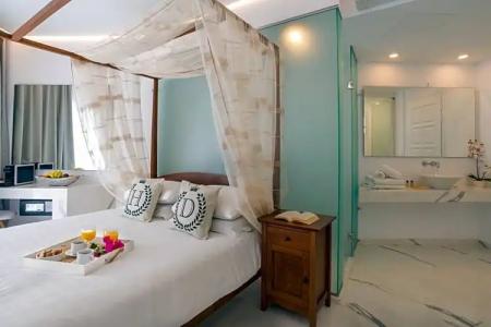 Dionysos Luxury Mykonos - 102