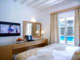 Superior Double room with pool view