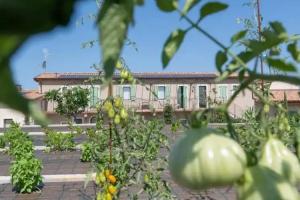 Natiia Relais - Adults Only, Lazise