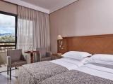 Standard Double room with balcony and with inland view