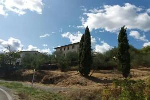 B&B L'uliveto sul Chianti, Cavriglia