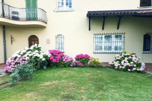 Villa Bellavista Alba, B&B, Alba