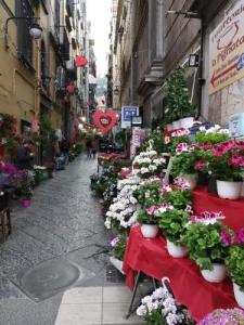 Non ci resta che Napoli - 36