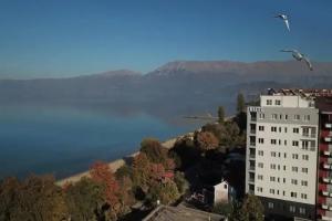 Elite, Pogradec