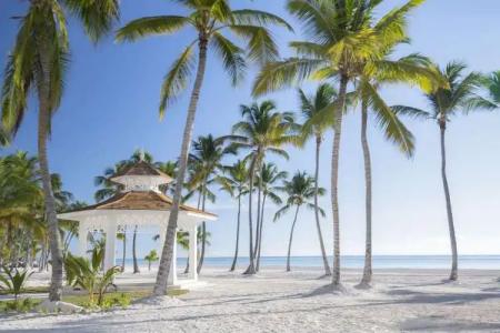 Hyatt Zilara Cap Cana - Adults Only - 28