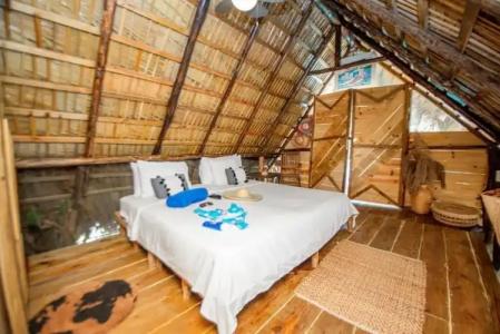 Cabarete Maravilla Eco Lodge Boutique Beach Surf & Kite - 86