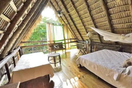 Cabarete Maravilla Eco Lodge Boutique Beach Surf & Kite - 63