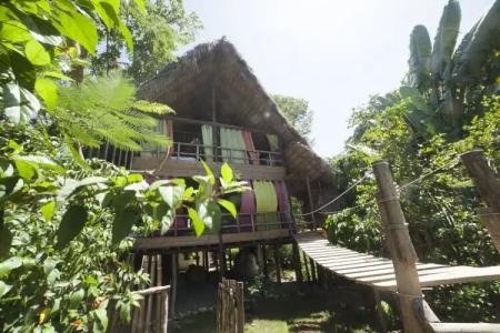 Cabarete Maravilla Eco Lodge Boutique Beach Surf & Kite - 40