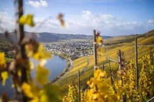 Rieslingquartier - Mosel Wein Hotel, Krov