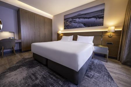 Radisson Blu, Mount Erciyes - 74