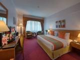 Accessible Superior Double room with city view