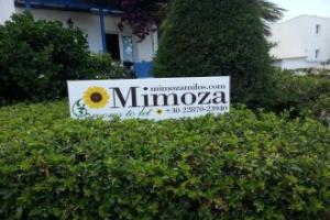 Mimoza, Adamas