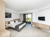 Superior room with balcony and with inland view