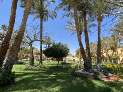 Sharm Grand Plaza Resort - Families and Couples Only - 24