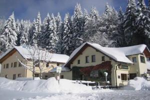 Hotel & Gasthaus Sterngrund, Zella-Mehlis