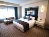 Executive Double Suite