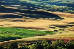 Agriturismo La Buca di Bellugi, San Quirico d'Orcia