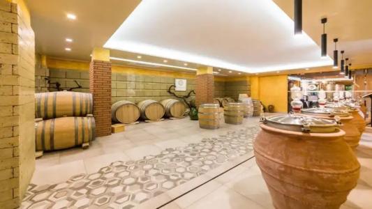 Resort & Winery Bosco De Medici - 18