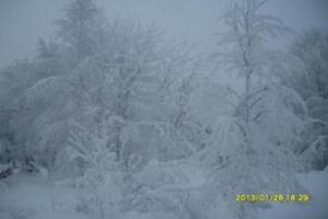 Aaria Bed and Breakfast, Rovaniemi