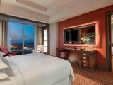 1 Bedroom Executive Double Club Level Suite