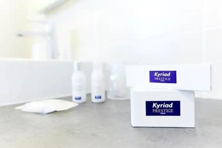 Kyriad Prestige Vannes Centre-Palais des Arts - 118