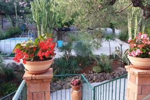 B&B Le Anthos, Marina di Camerota