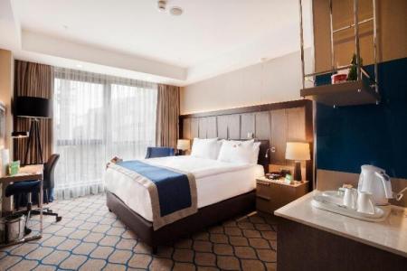 Holiday Inn Kayseri - Duvenonu, an IHG - 113