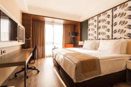 Holiday Inn Kayseri - Duvenonu, an IHG - 114