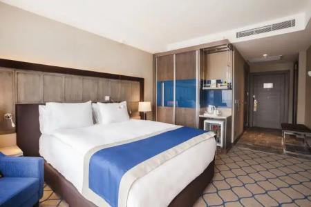 Holiday Inn Kayseri - Duvenonu, an IHG - 100