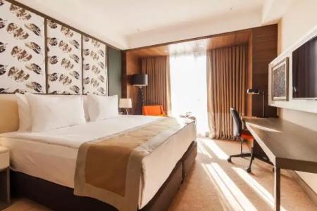 Holiday Inn Kayseri - Duvenonu, an IHG - 110