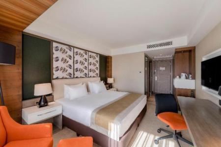 Holiday Inn Kayseri - Duvenonu, an IHG - 107