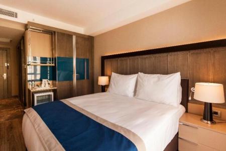 Holiday Inn Kayseri - Duvenonu, an IHG - 106